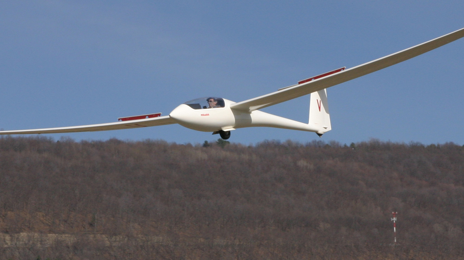 Pegasus sailplane flying low over the ridge